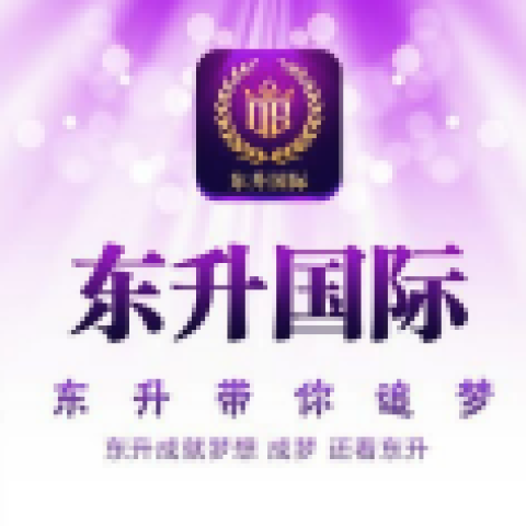 东升国际